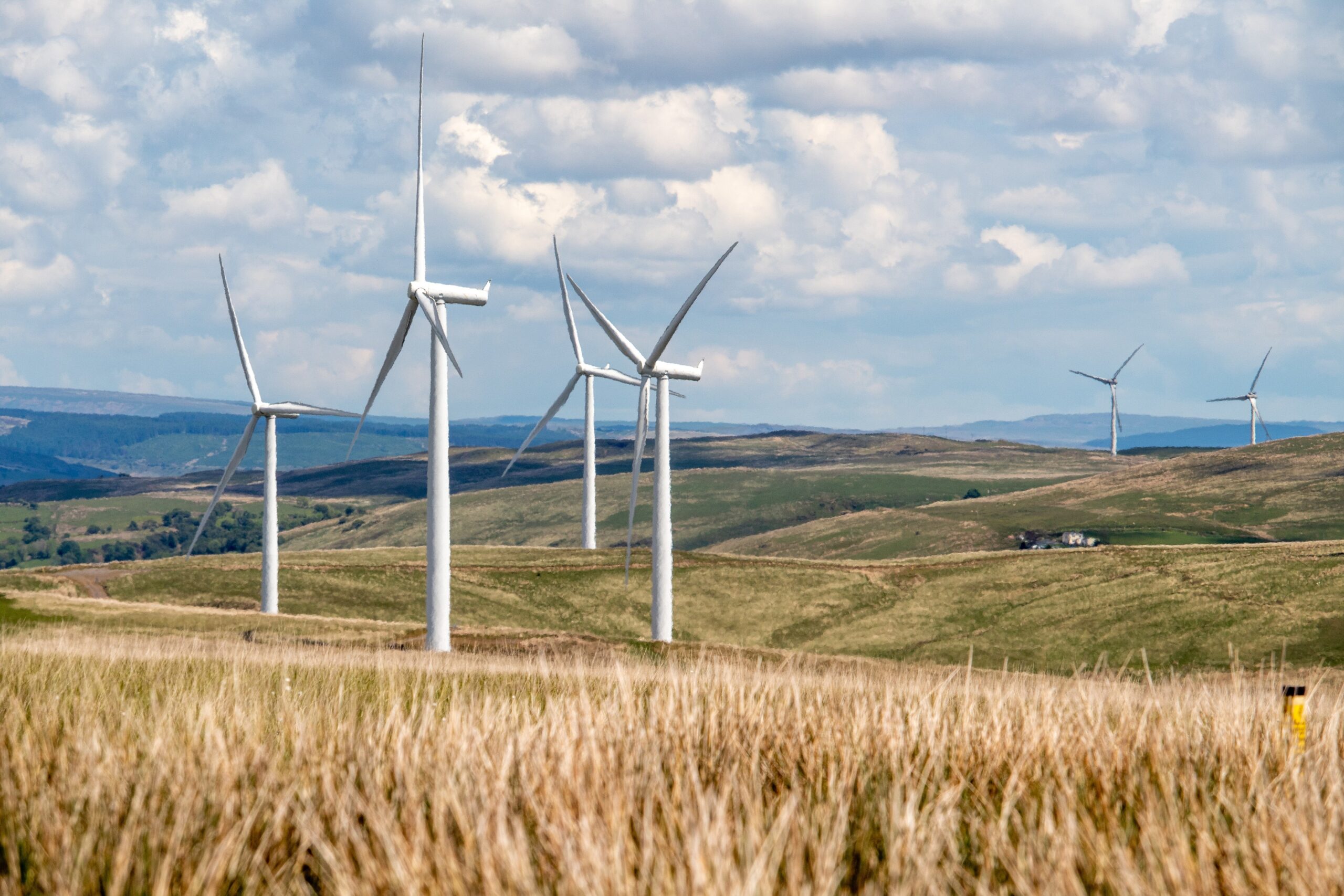 https://pixabay.com/it/photos/energia-eolica-parco-eolico-7342177/