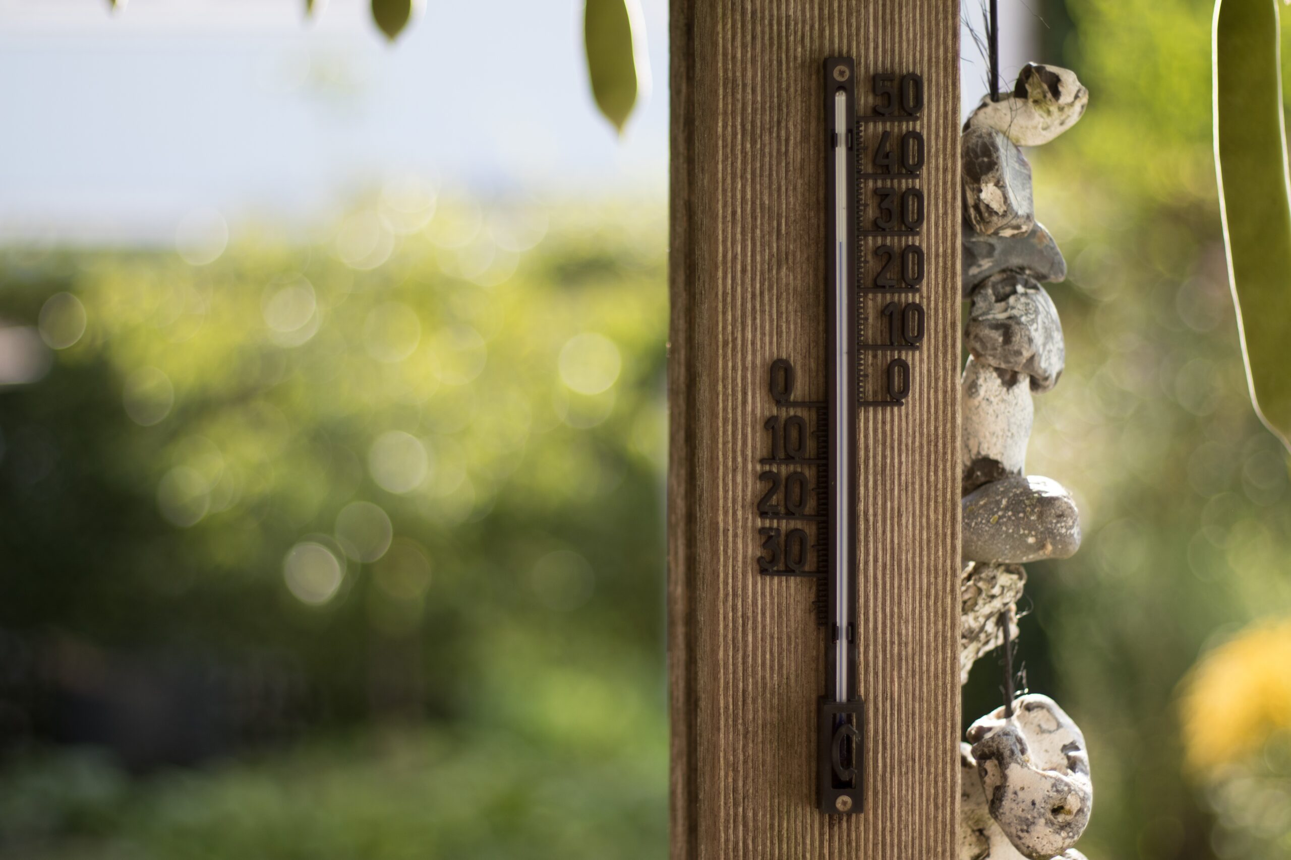 https://pixabay.com/it/photos/termometro-caldo-calore-estate-4602513/