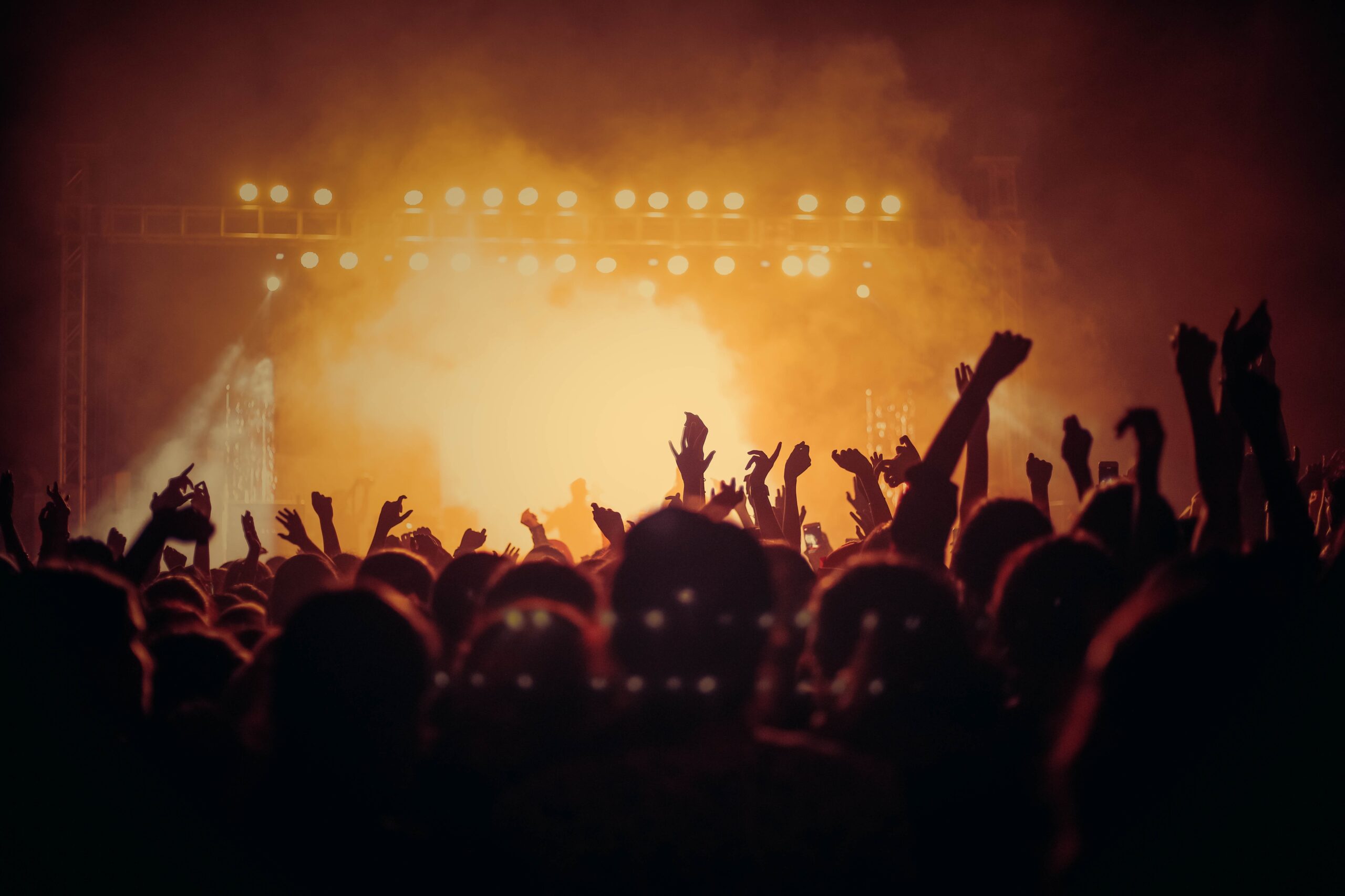 Quanto costa partecipare ai concerti, tra costi nascosti ed extra? L'indagine di Federconsumatori