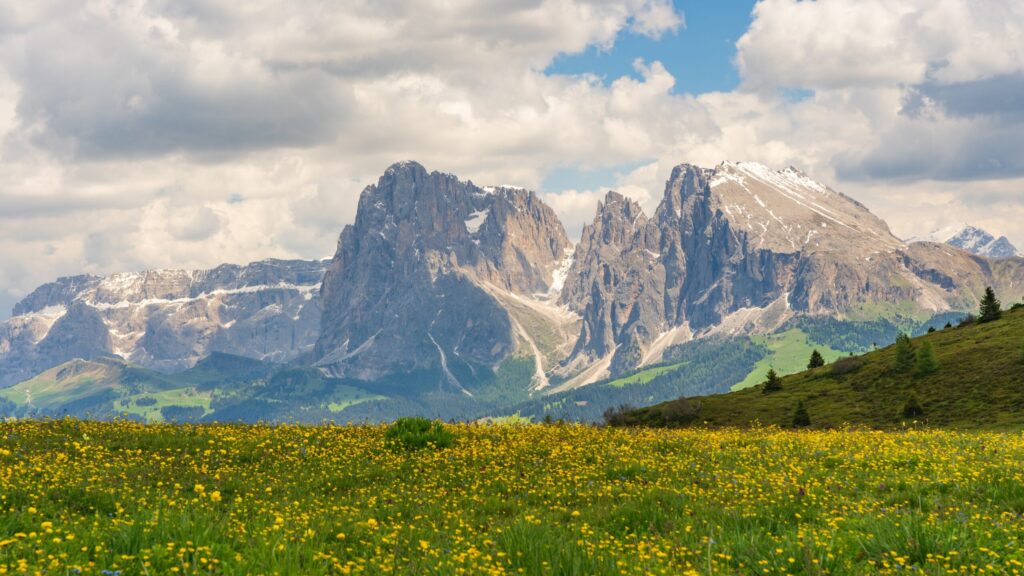 https://pixabay.com/it/photos/alpe-di-siusi-dolomiti-montagne-8123284/