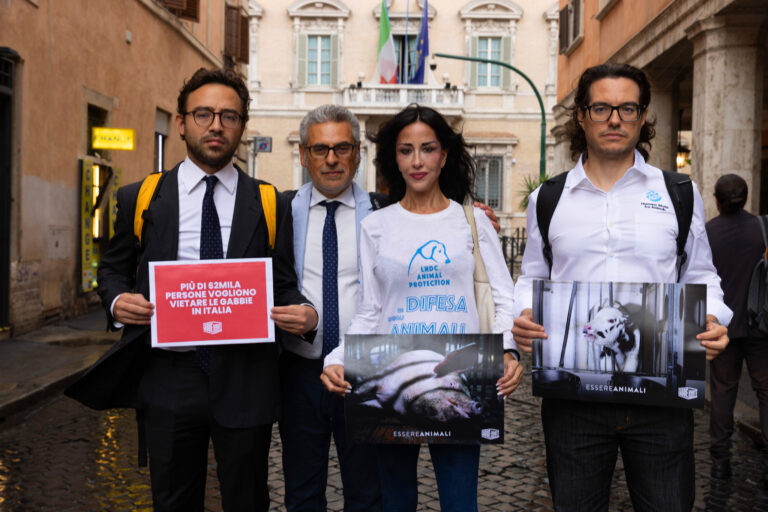 Essere Animali