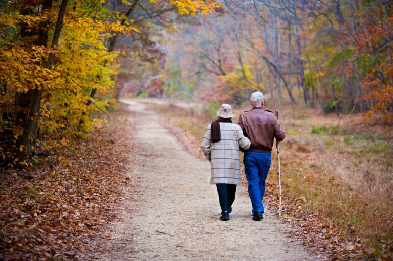 https://pixabay.com/it/photos/coppia-anziano-a-passeggio-autunno-6653517/