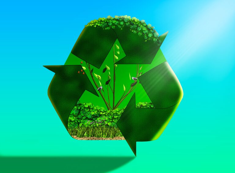 Greenwashing, dal 27 settembre nuove regole per tutelare i consumatori