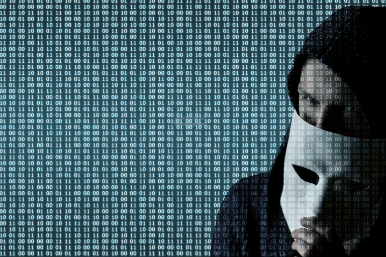https://pixabay.com/it/illustrations/truffa-pirata-hacking-privacy-7435657/