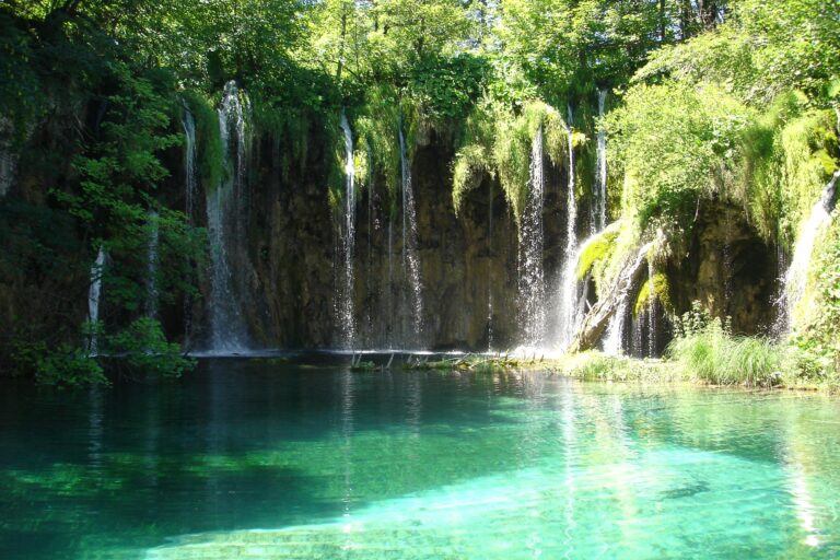 https://pixabay.com/it/photos/laghi-di-plitvice-acqua-turchese-192168/